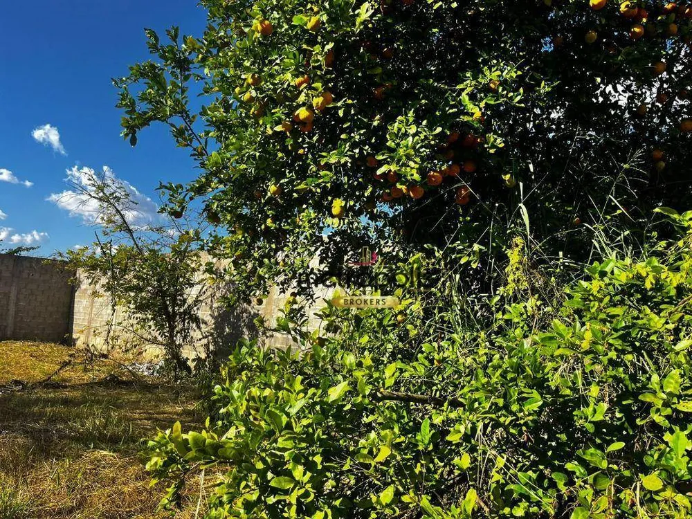 Loteamento e Condomínio, 990 m² - Foto 11