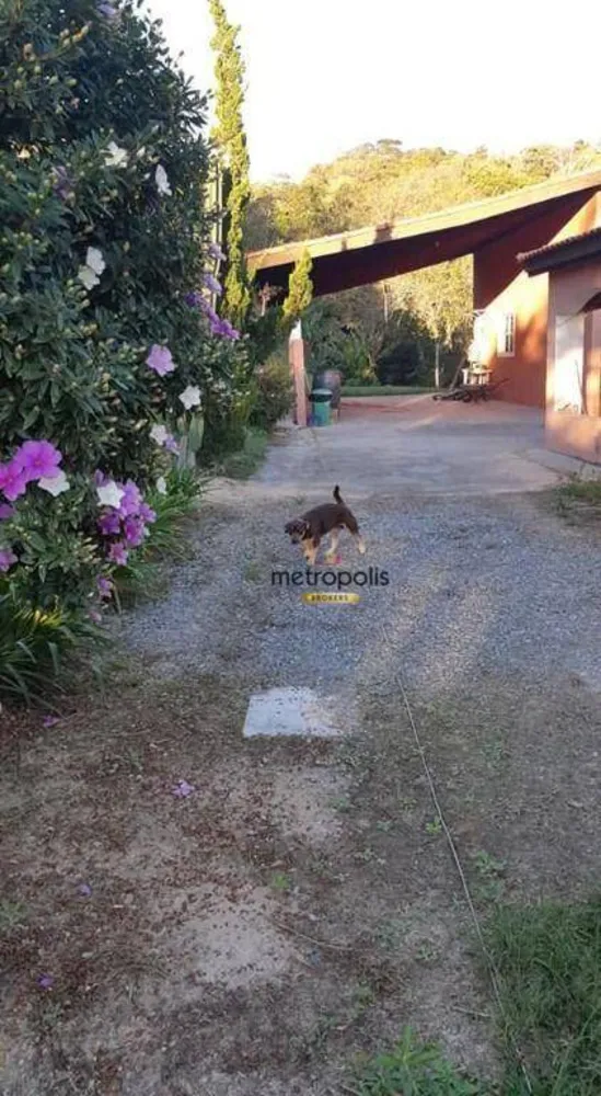 Chácara, 5 quartos, 8 hectares - Foto 12