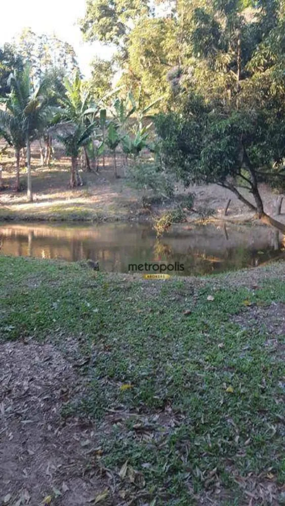Chácara, 5 quartos, 8 hectares - Foto 11