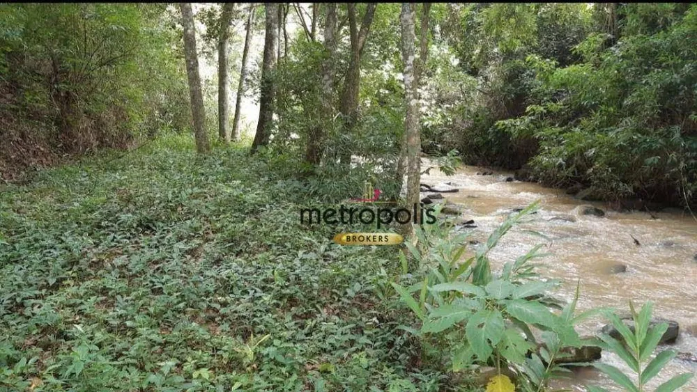 Chácara, 5 quartos, 8 hectares - Foto 4
