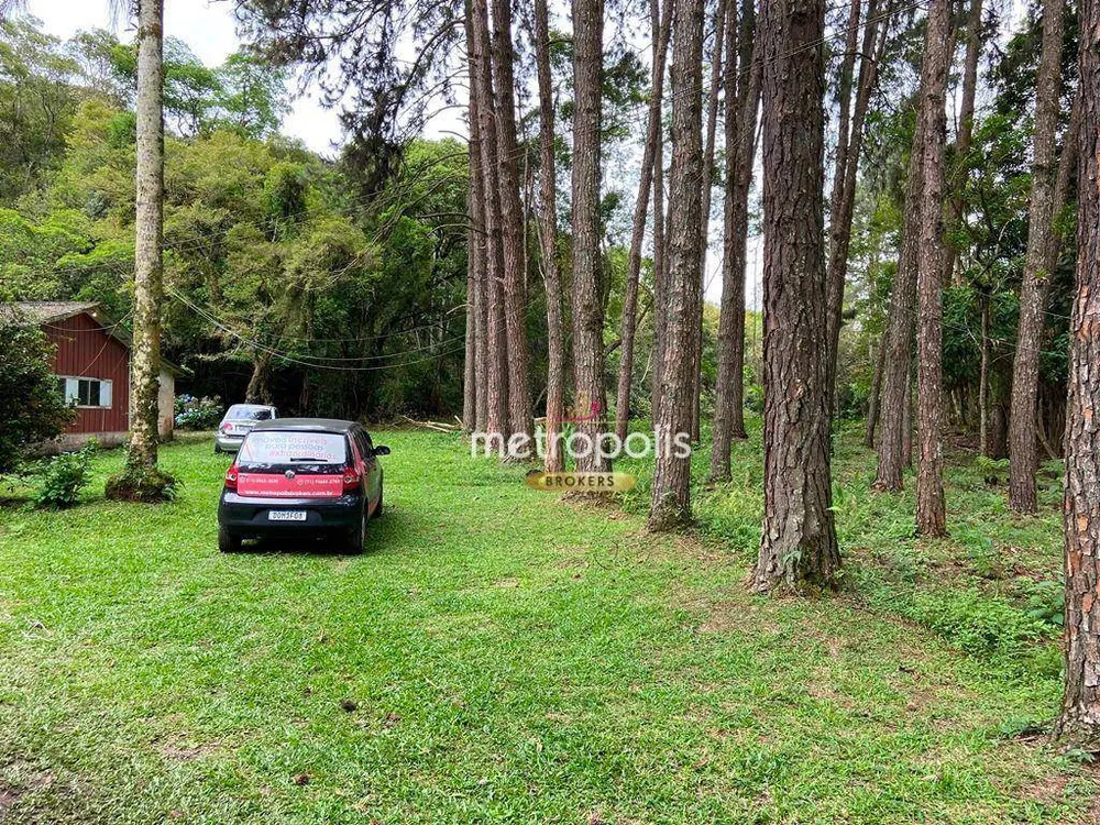 Sítio, 19 hectares - Foto 4