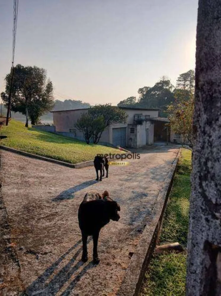 Chácara, 4 quartos, 1 hectares - Foto 9