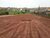 Terreno, 4445 m² - Foto 1