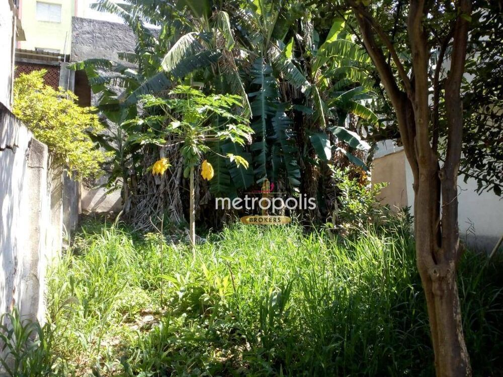 Casa, 4 quartos, 224 m² - Foto 3