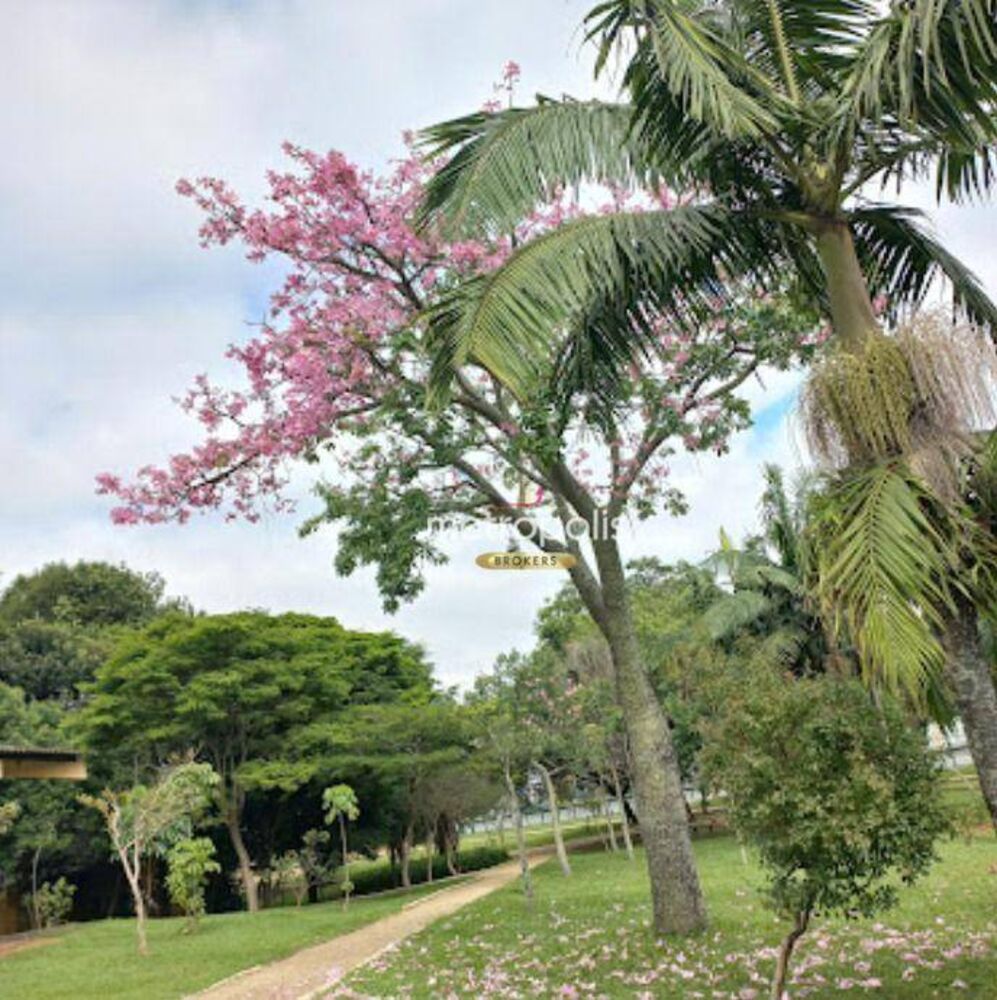 Terreno à venda, 344M2 - Foto 4