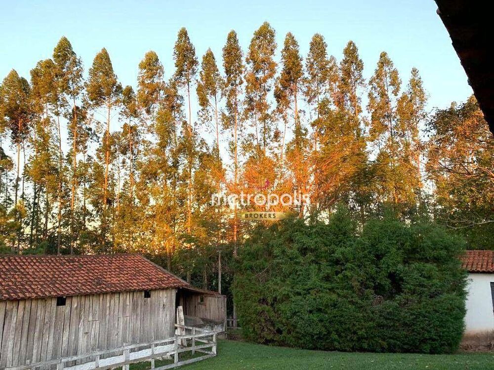 Sítio, 5 quartos, 6000 m² - Foto 2