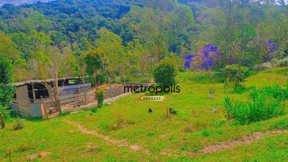 Chácara, 4 quartos, 6573 m² - Foto 7