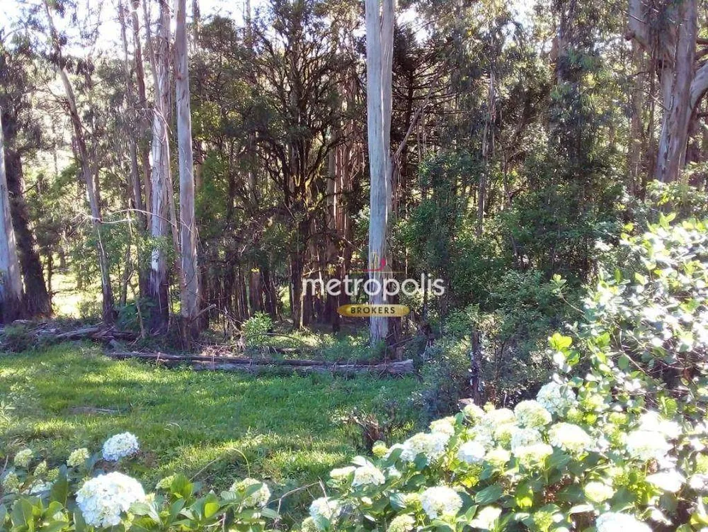 Terreno, 89 hectares - Foto 4
