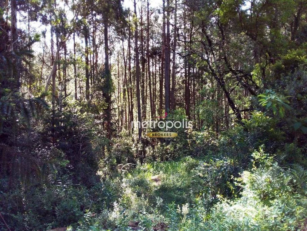Terreno, 89 hectares - Foto 3