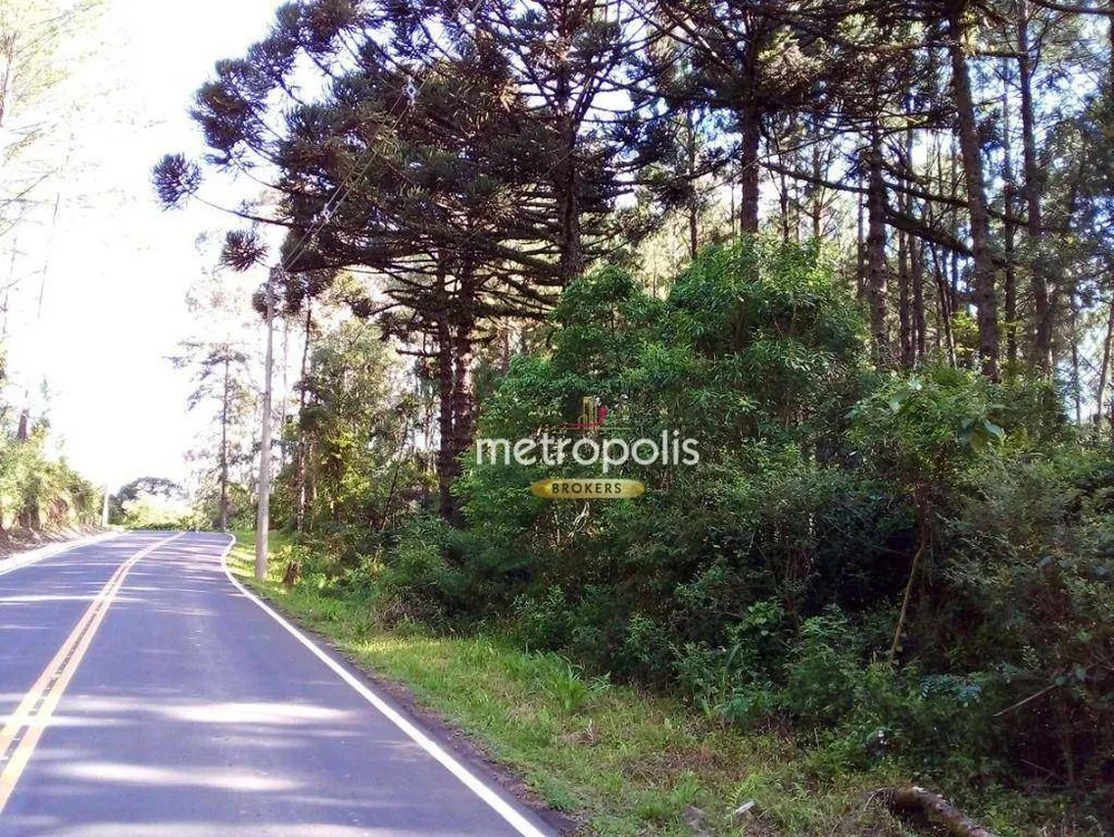 Terreno, 89 hectares - Foto 10