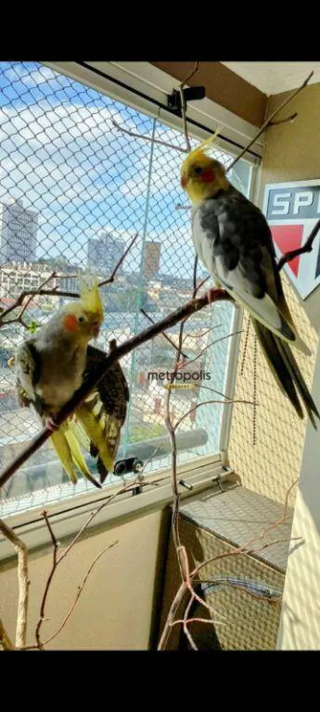 Apartamento, 2 quartos, 52 m² - Foto 7