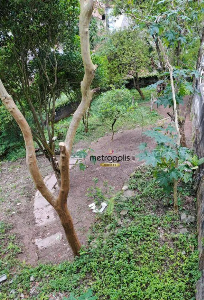 Casa, 3 quartos, 217 m² - Foto 11