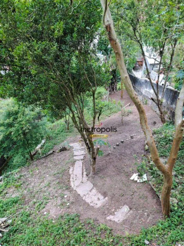 Casa, 3 quartos, 217 m² - Foto 12