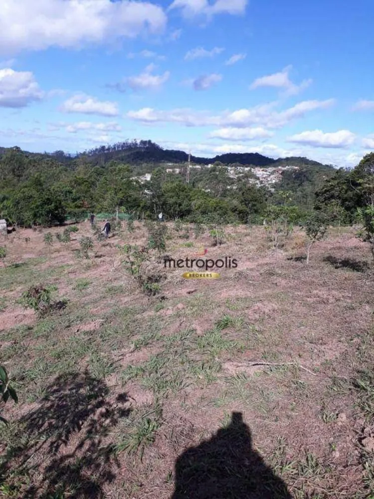 Terreno, 3 hectares - Foto 4