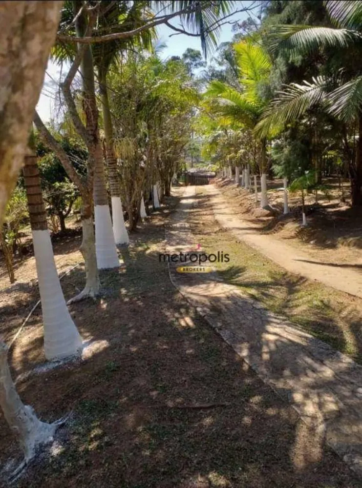 Terreno, 3 hectares - Foto 1