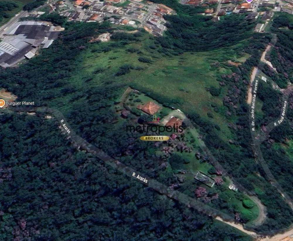 Terreno, 3 hectares - Foto 6