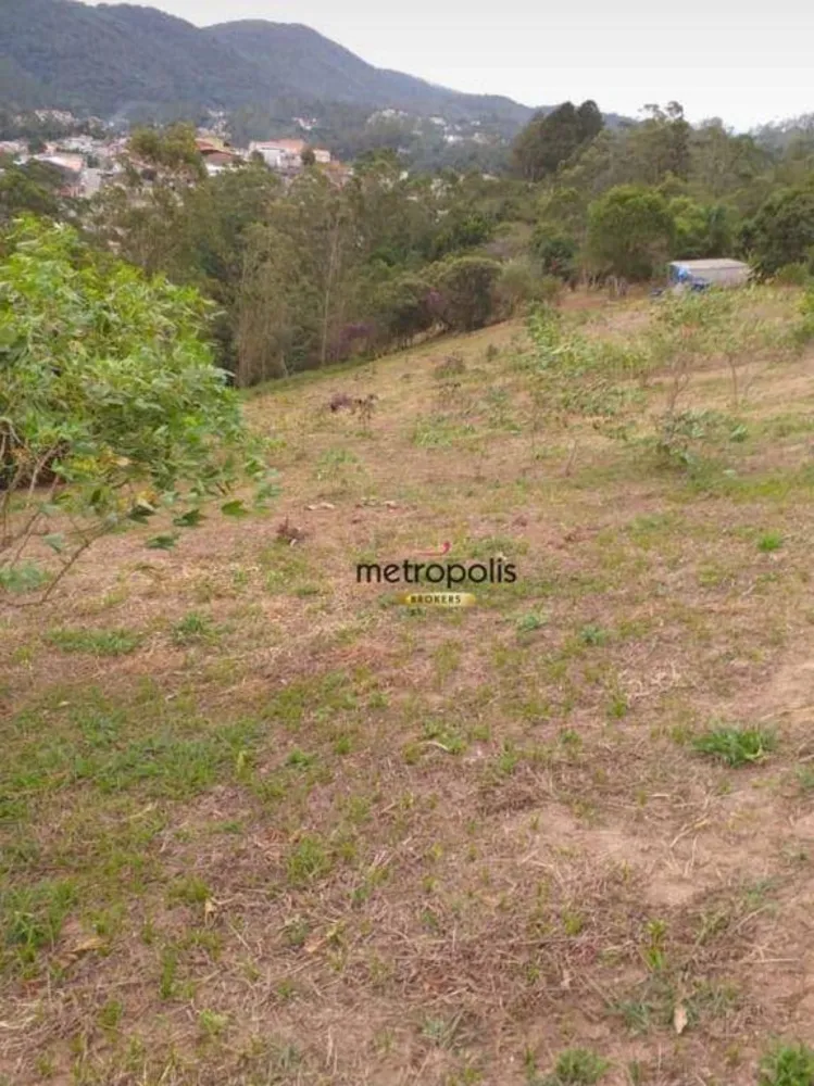 Terreno, 3 hectares - Foto 3
