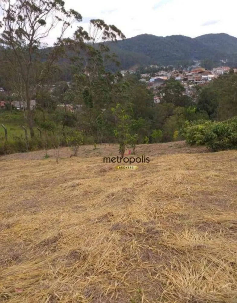 Terreno, 3 hectares - Foto 2