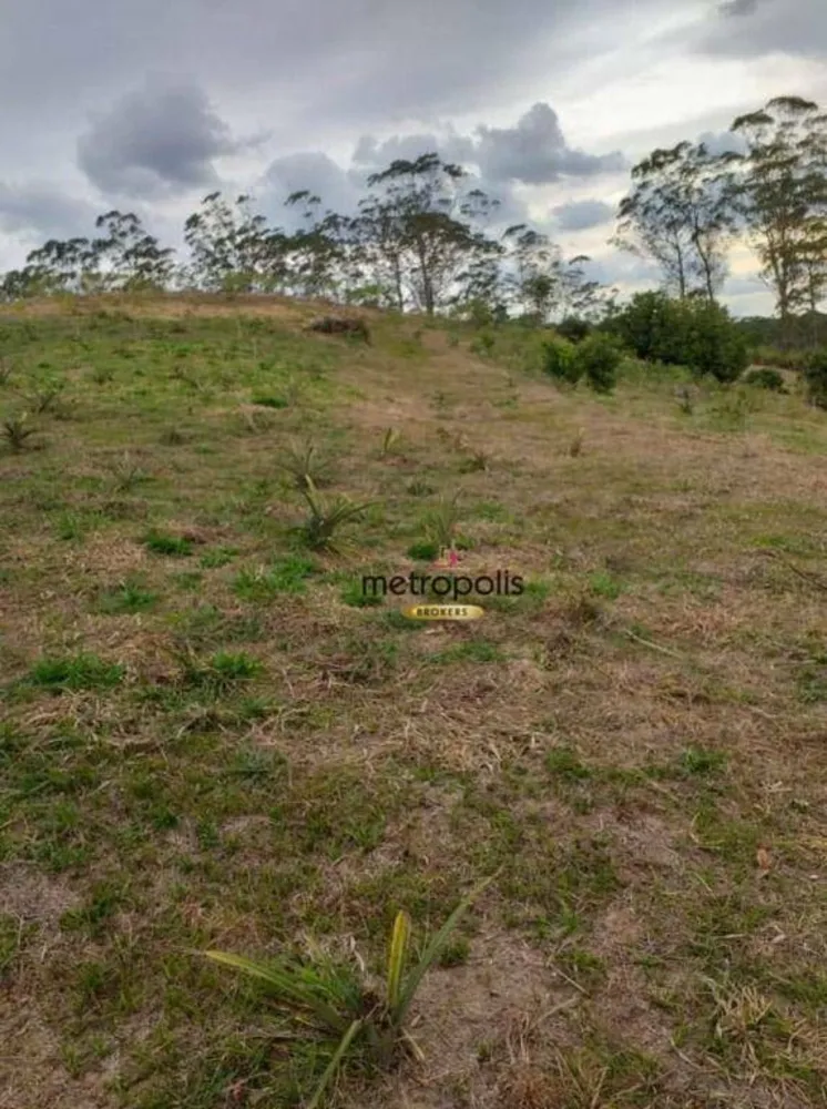 Terreno, 3 hectares - Foto 1