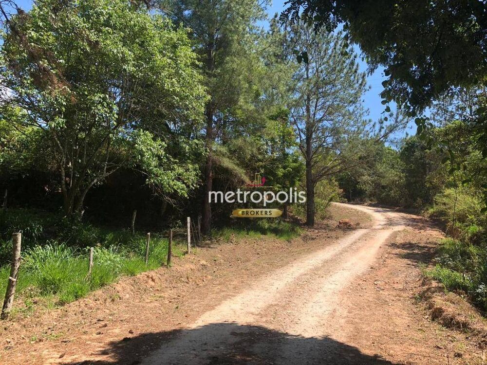 Sítio, 8 quartos, 22 hectares - Foto 4