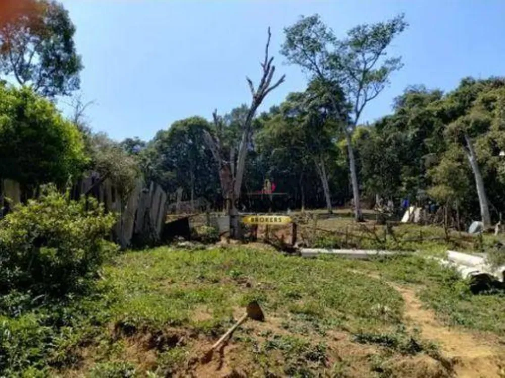 Terreno, 9000 m² - Foto 2