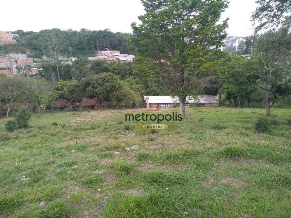 Terreno, 3 hectares - Foto 3