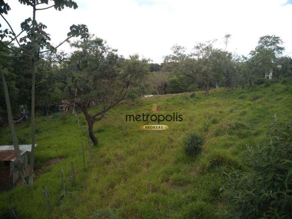 Terreno, 3 hectares - Foto 1