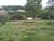 Terreno, 3 hectares - Foto 3