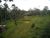 Terreno, 3 hectares - Foto 1