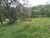 Terreno, 3 hectares - Foto 4