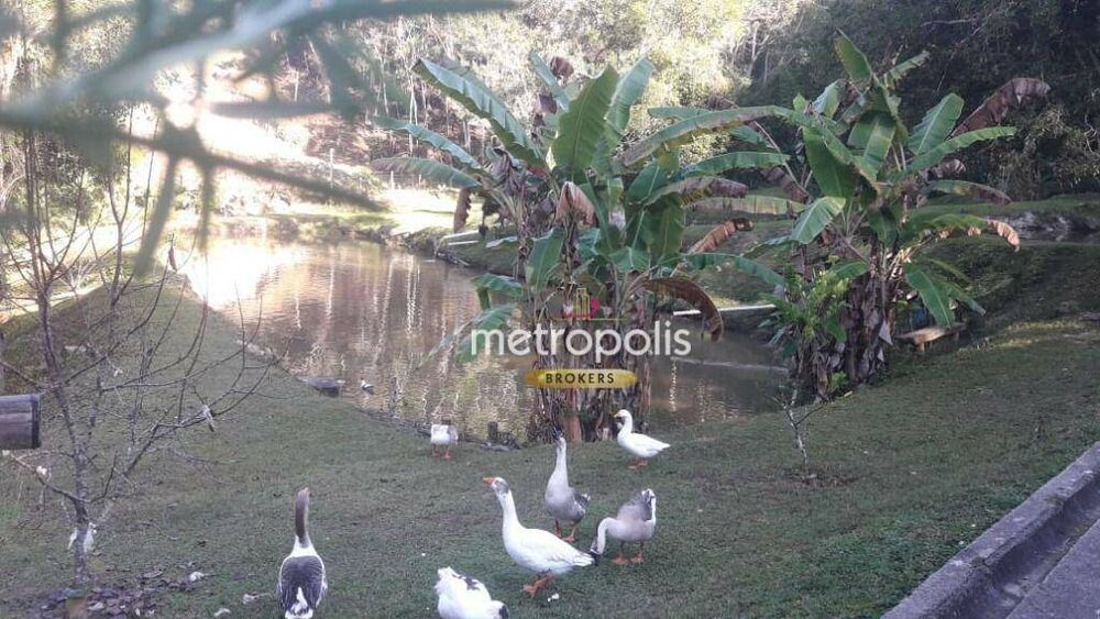 Sítio à venda com 7 quartos, 400m² - Foto 7