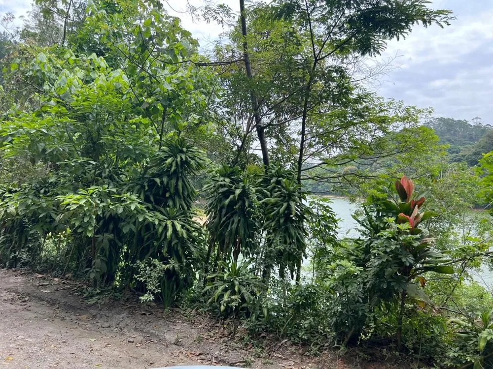 Terreno, 9550 m² - Foto 8