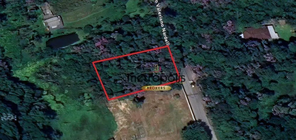 Terreno, 3 hectares - Foto 2