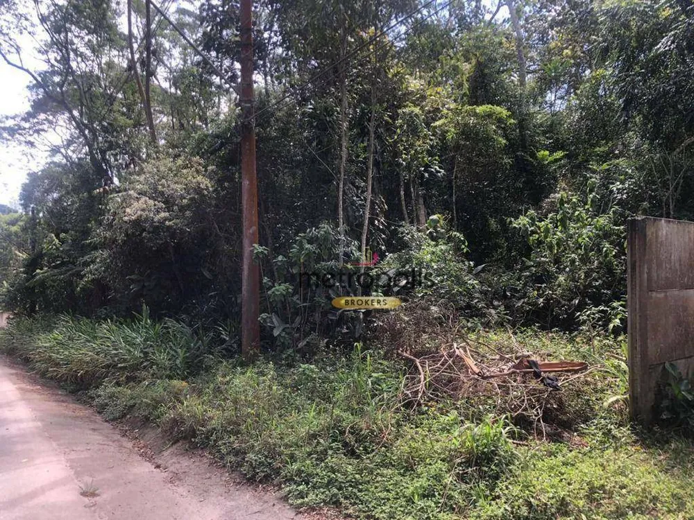 Terreno, 3 hectares - Foto 8