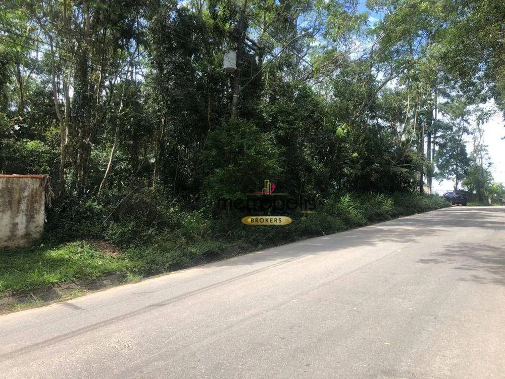 Terreno, 3 hectares - Foto 6