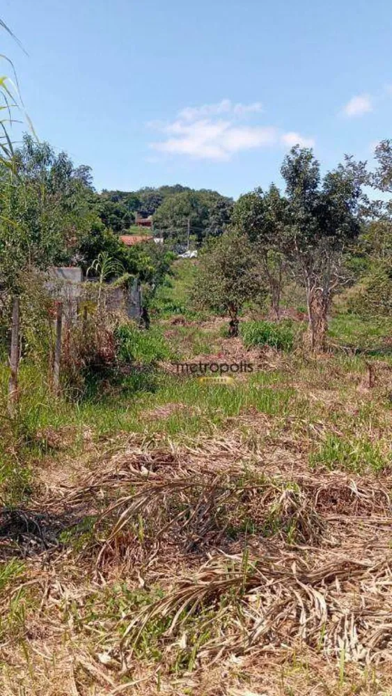 Terreno, 3517 m² - Foto 3