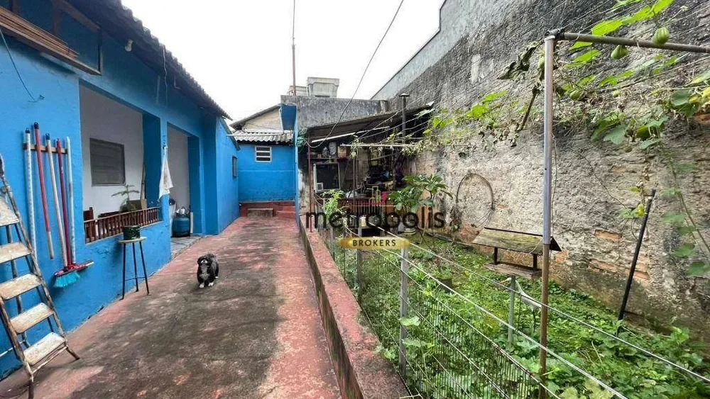 Casa, 3 quartos, 246 m² - Foto 7