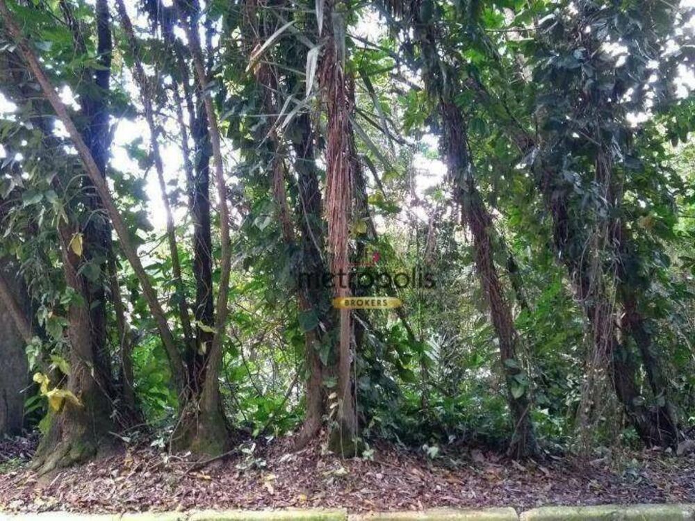 Terreno, 600 m² - Foto 5