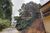 Terreno, 500 m² - Foto 1