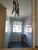 Sobrado, 4 quartos, 204 m² - Foto 3