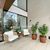Sobrado, 6 quartos, 563 m² - Foto 2