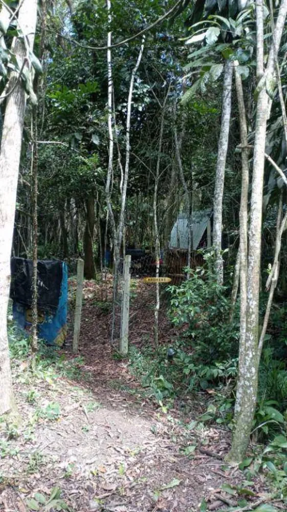 Terreno, 5000 m² - Foto 3