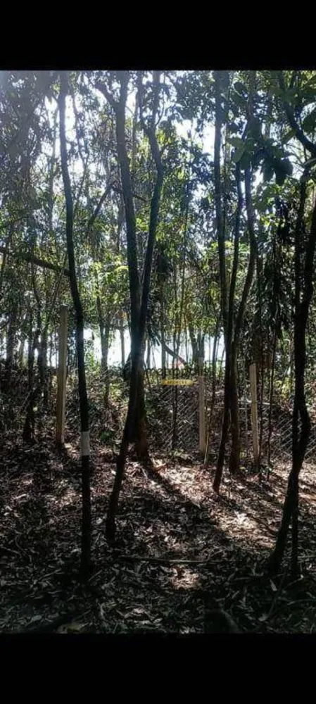 Terreno, 5000 m² - Foto 4