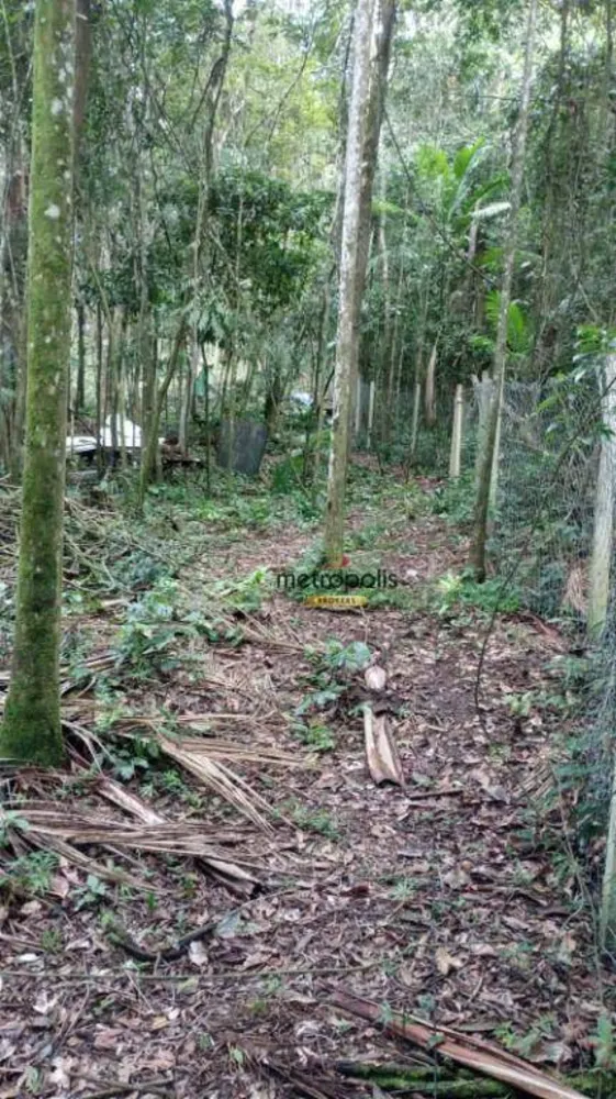 Terreno, 5000 m² - Foto 5