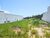 Terreno, 300 m² - Foto 2