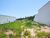 Terreno, 300 m² - Foto 3