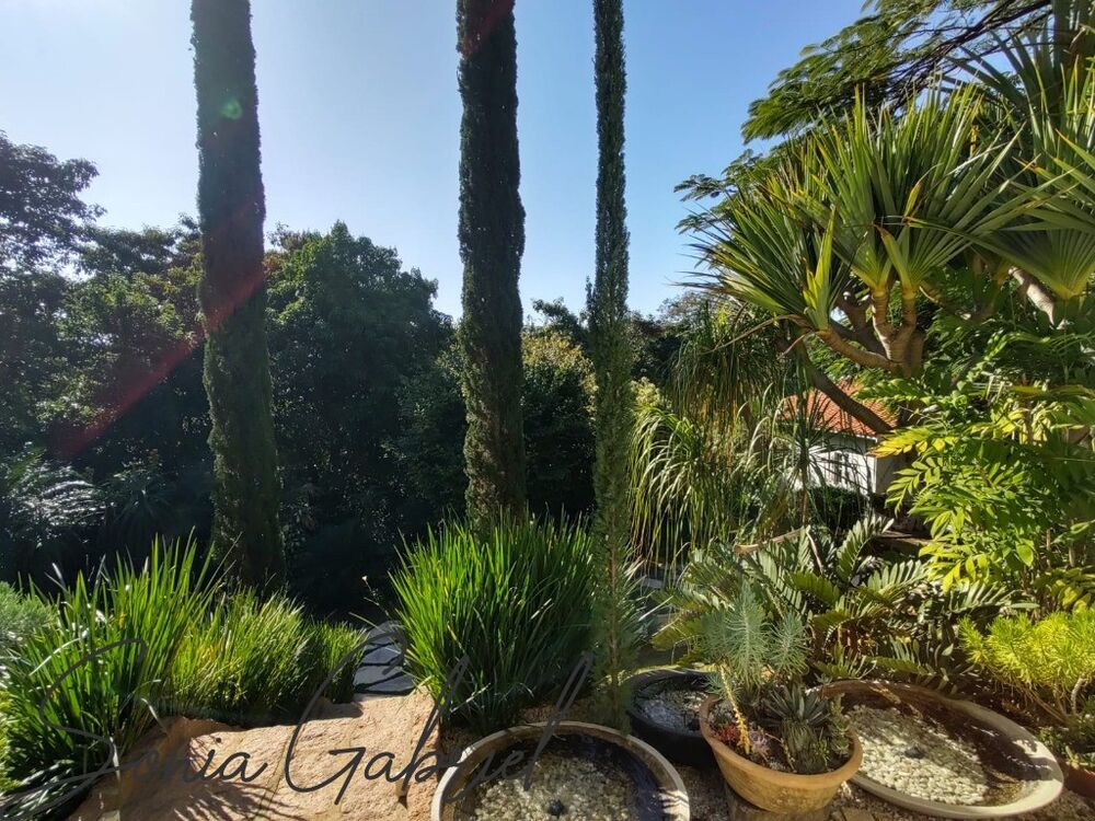 Casa, 4 quartos, 671 m² - Foto 17