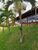 Terreno, 1160 m² - Foto 3