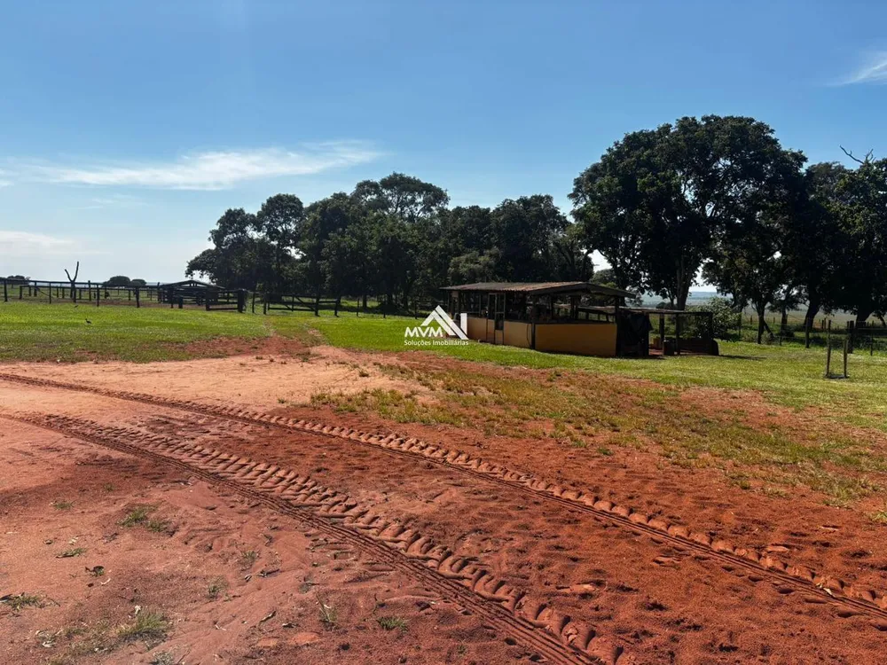 Fazenda, 876 hectares - Foto 6