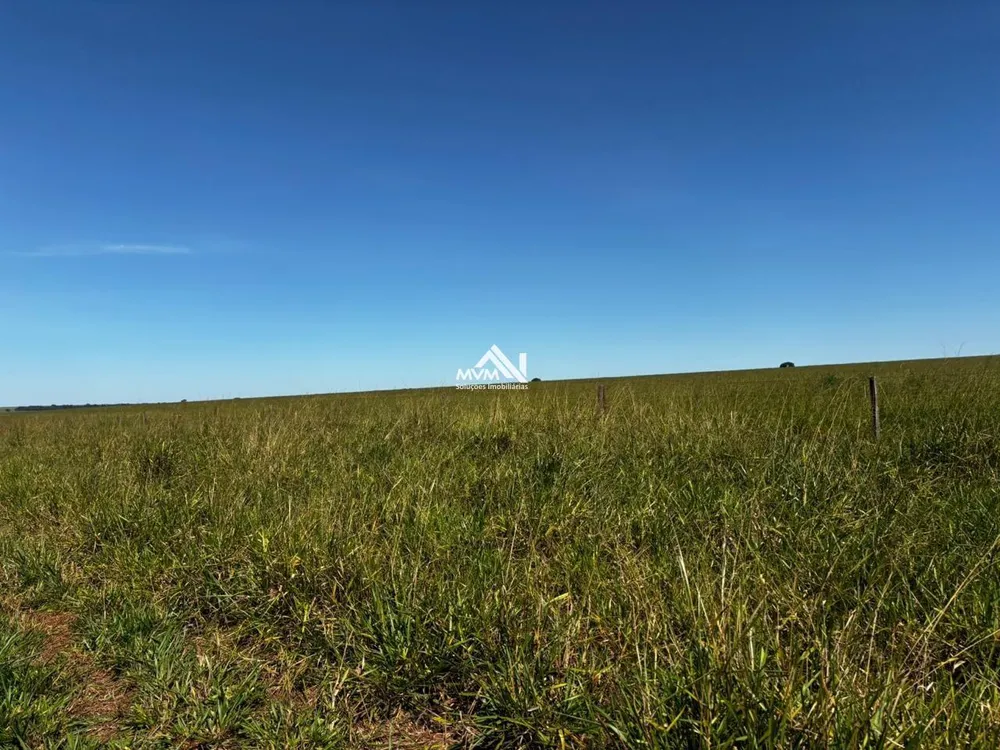 Fazenda, 876 hectares - Foto 7